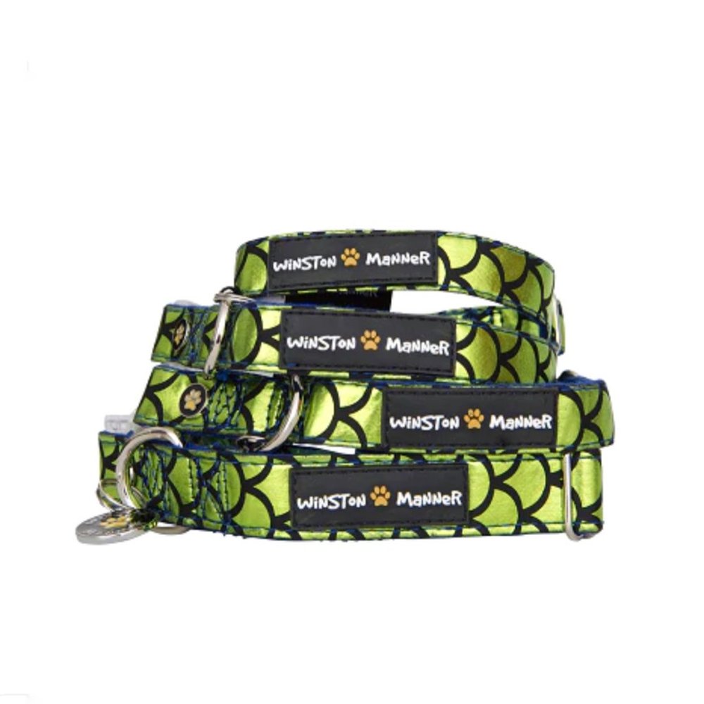 Winston Manner Designer Dog Collar in Atlantis